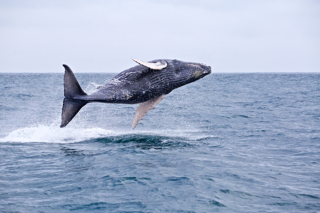 Ecuador Image